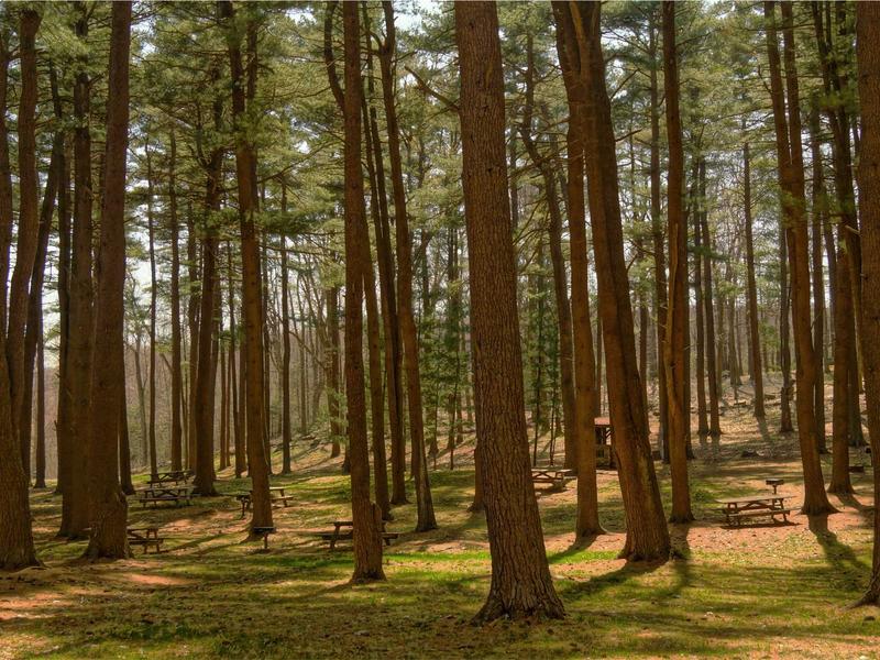 sudoku premium features screenshot 1